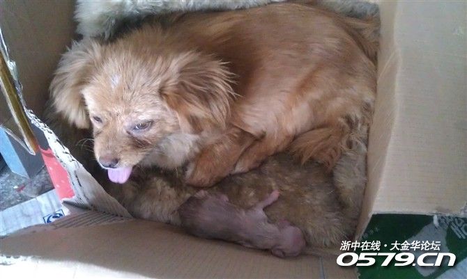 142_2707038_31d0a60cb7ef548.jpg?58