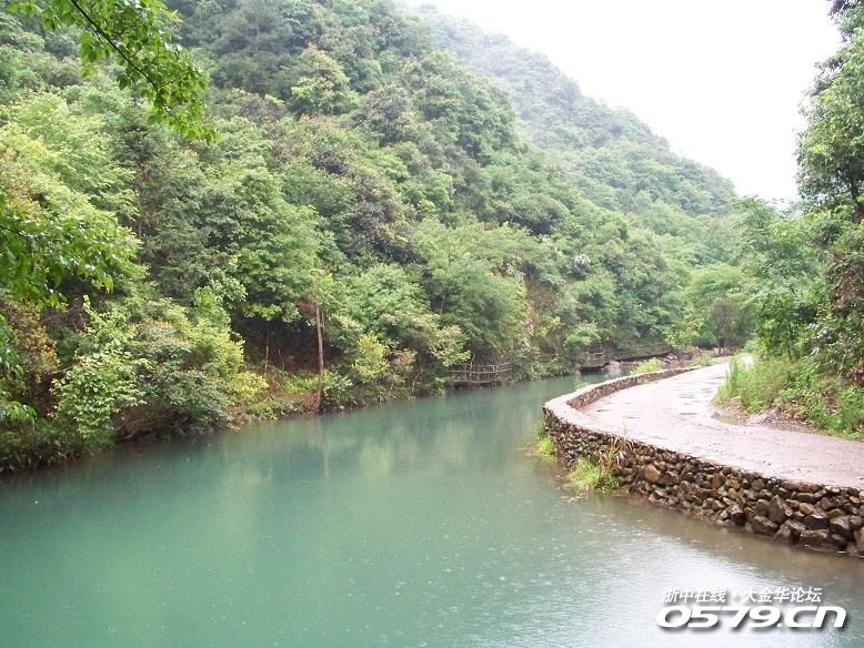 浦江水竹湾森林公园