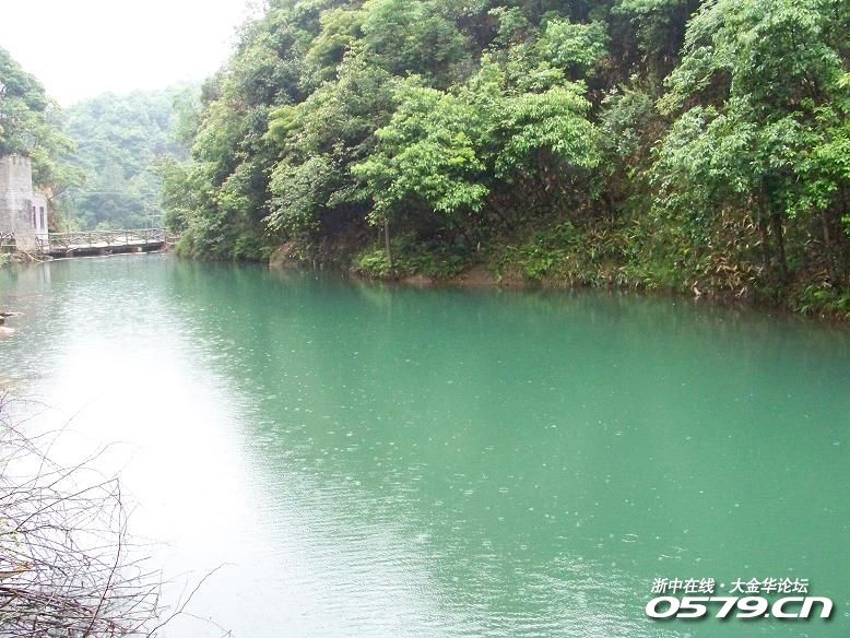 浦江水竹湾森林公园