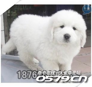 178_2863122_ce18baff53263cf.jpg?30