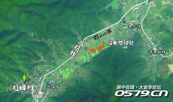 陈古镇人口_陈炉古镇(2)
