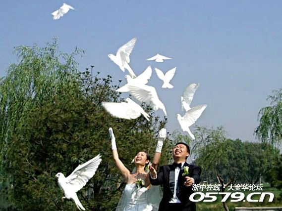 世界各国结婚趣事及风俗有些可以搬到婚礼上做创意活动哦