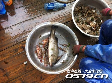 金华是哪里_金华动物园_金华哪里吃海鲜