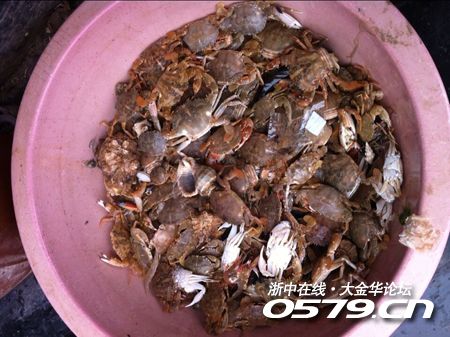 金华是哪里_金华动物园_金华哪里吃海鲜