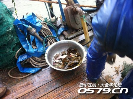 金华是哪里_金华动物园_金华哪里吃海鲜