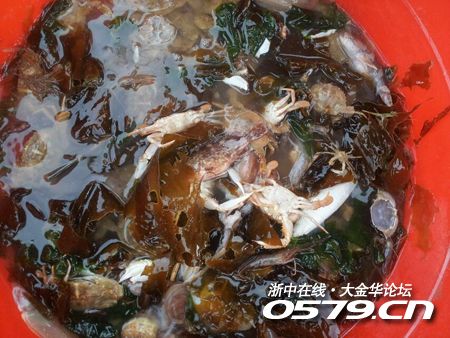 金华是哪里_金华动物园_金华哪里吃海鲜