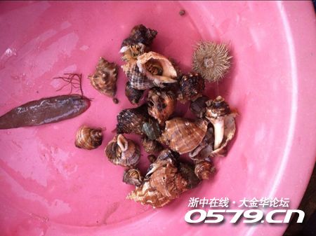 金华是哪里_金华动物园_金华哪里吃海鲜(2)