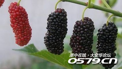 142_2946304_072ccd7c7d5d23d.jpg?23