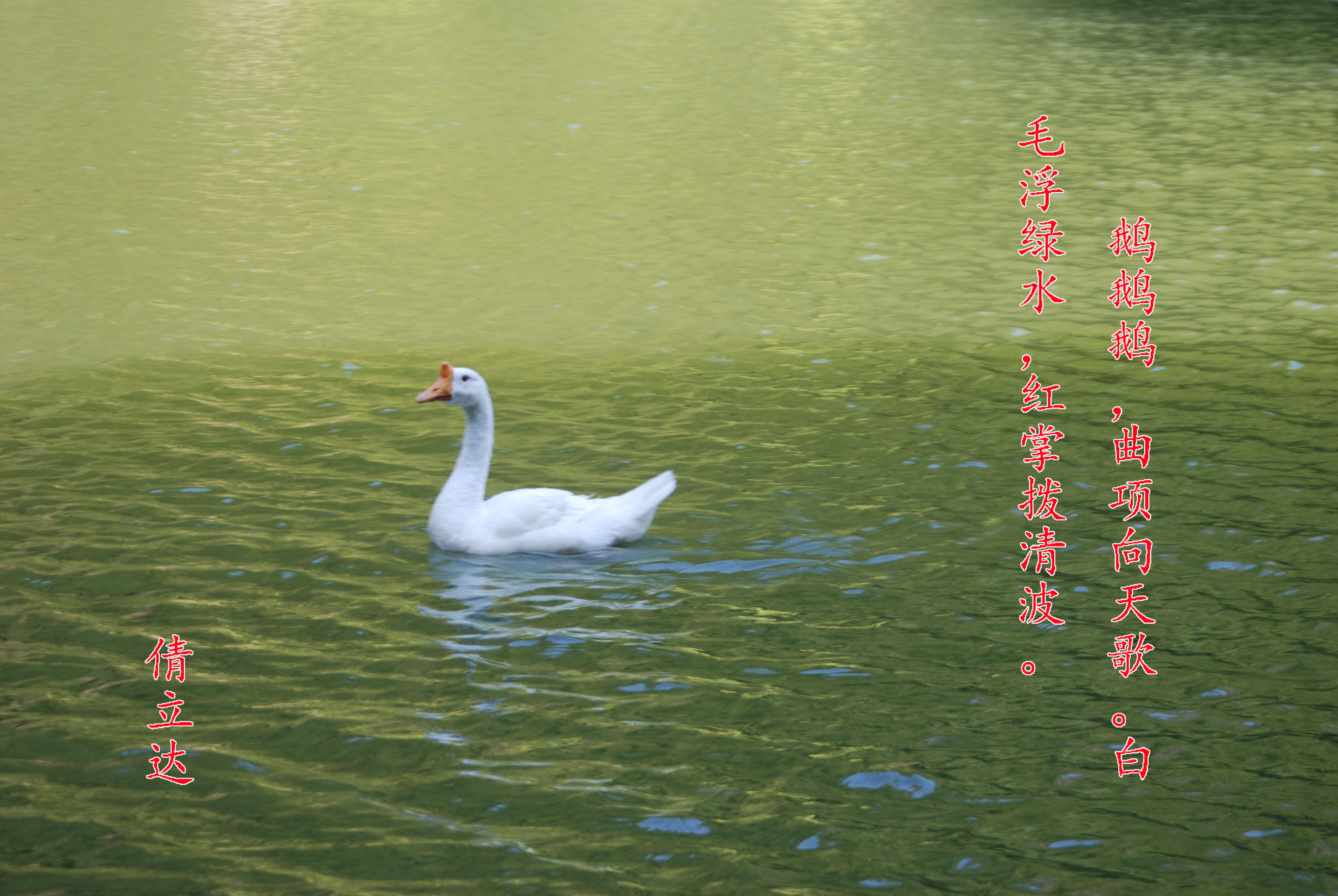 356_2668553_64889cb8b73c4b8.jpg?983