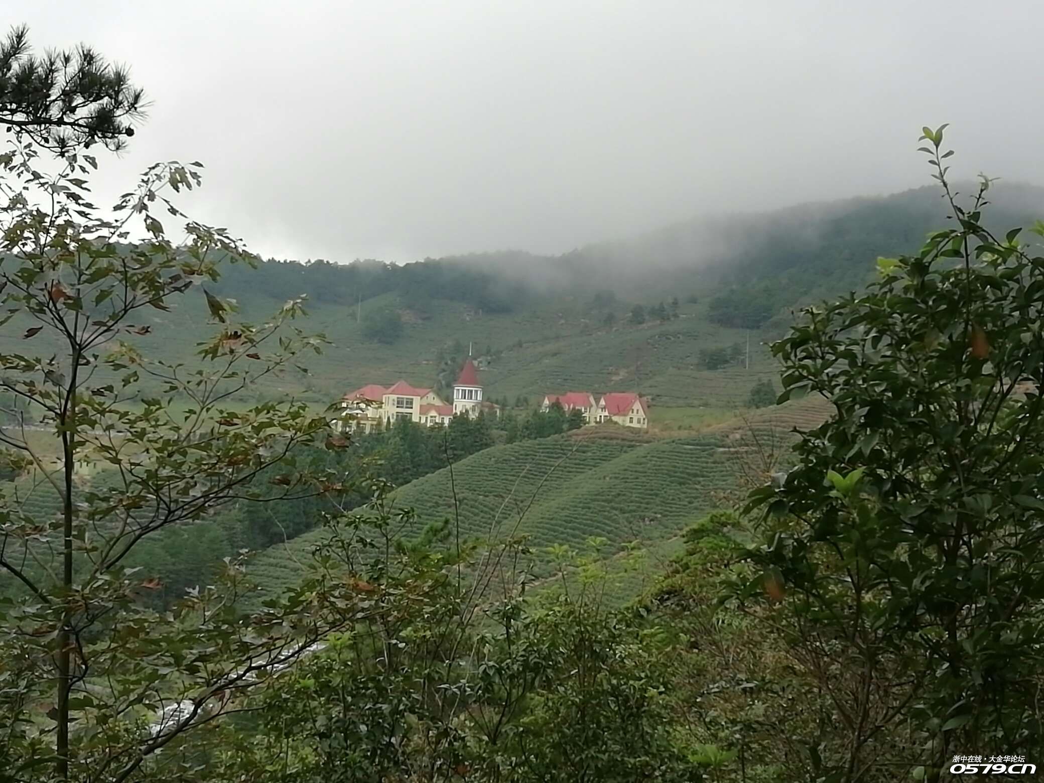 台州黄岩大寺基