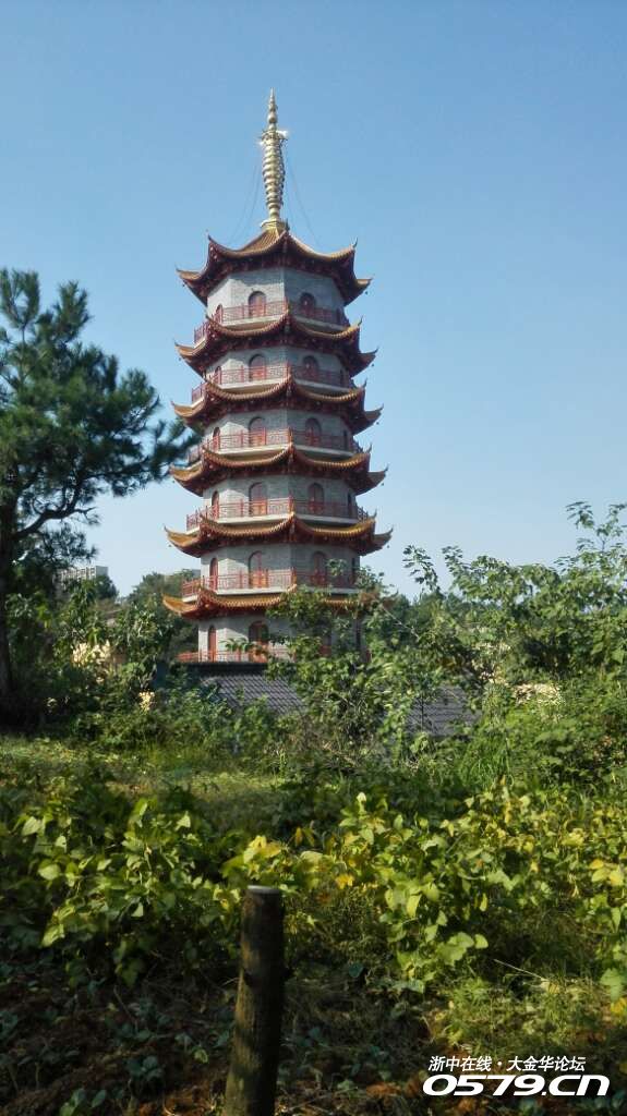 游杭州梧桐寺