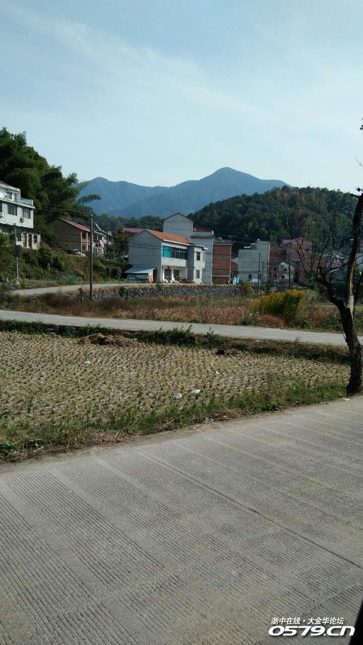 兰溪市横溪镇桐坞岭村.