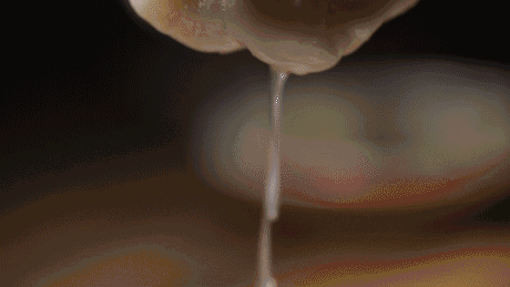 小编有话说:欢迎跟帖回复金华好吃的汤包!