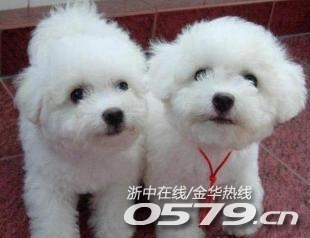 178_2680219_4a13699f330ef3d.jpg?11