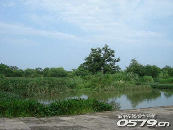 55_2730359_40d3851bda94918.jpg?141