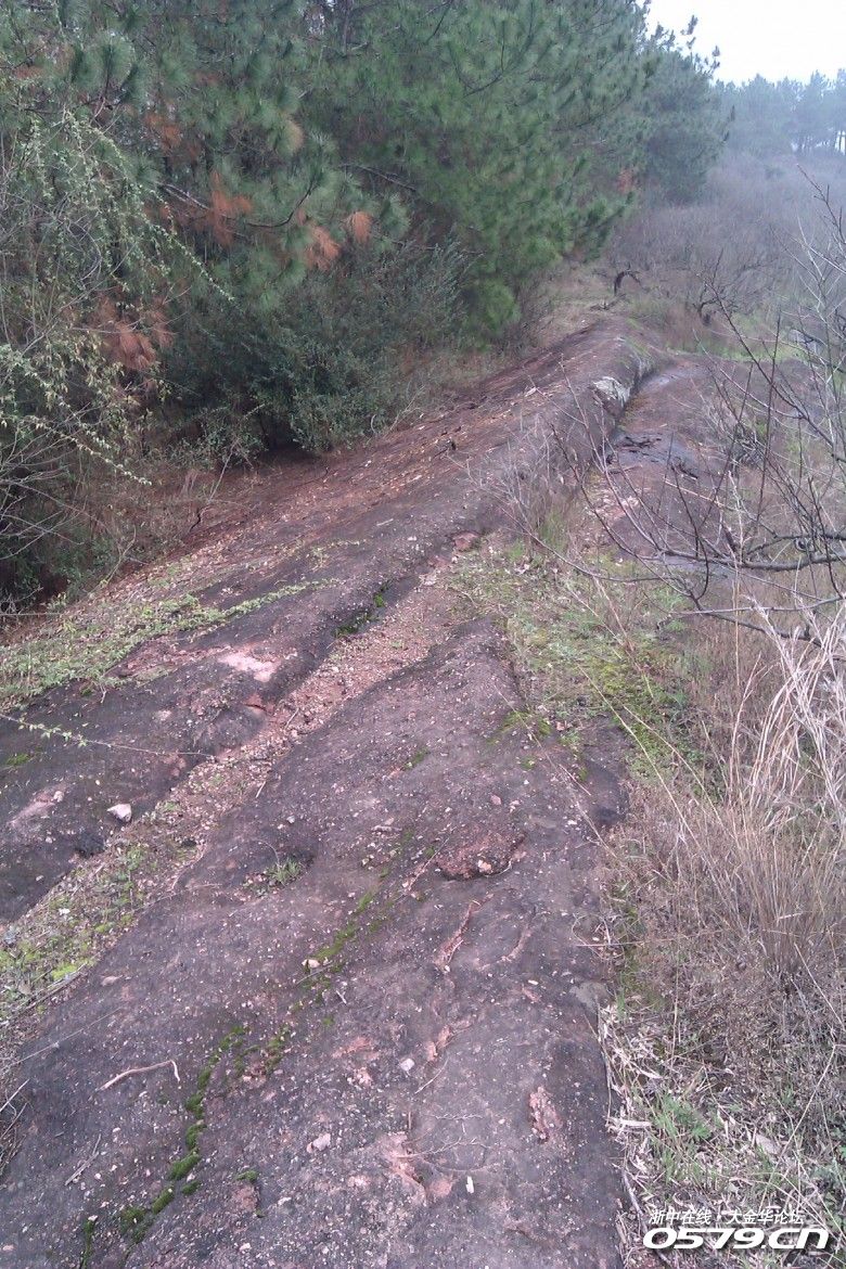 142_2815500_1a556cf0ab492f4.jpg?1618