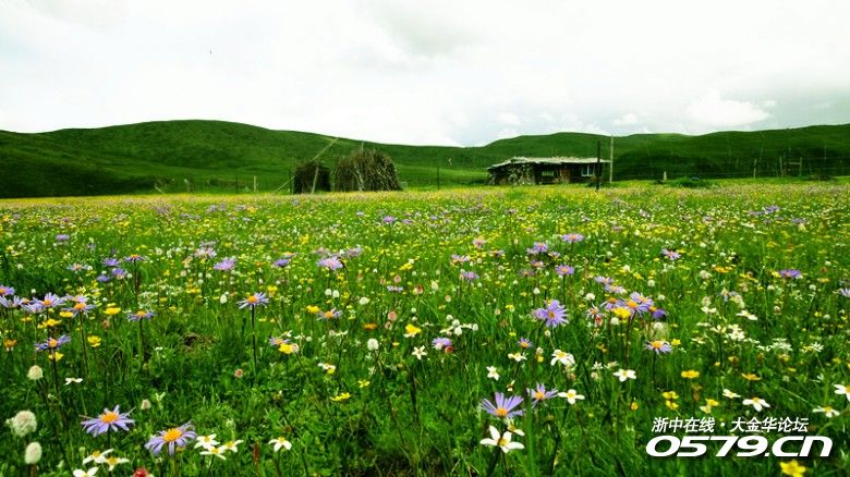 花湖招聘_六月去九寨沟黄龙游怎么安排行程(4)