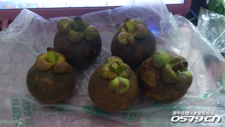 172_2872946_4df84f3239daffe.jpg?1626