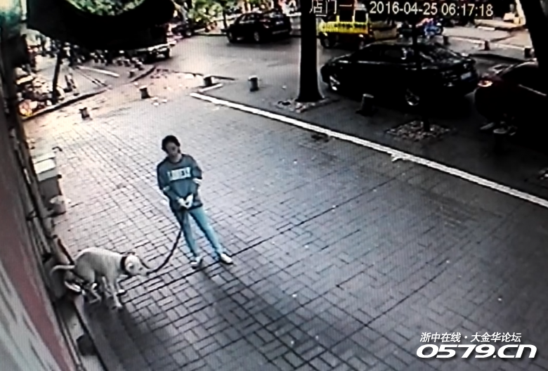 142_2917503_be398d2ae4d5ded.png?1091