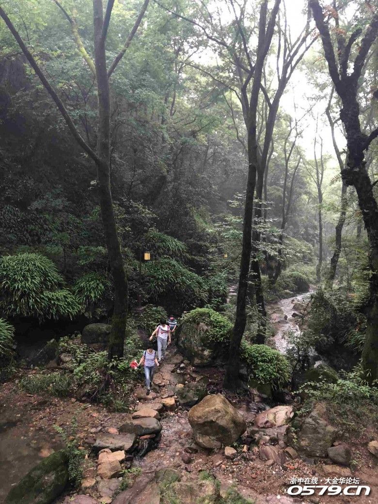 【"金华山杯"2019年度游记】《网红带游你金华山》雨后初晴,初夏携手