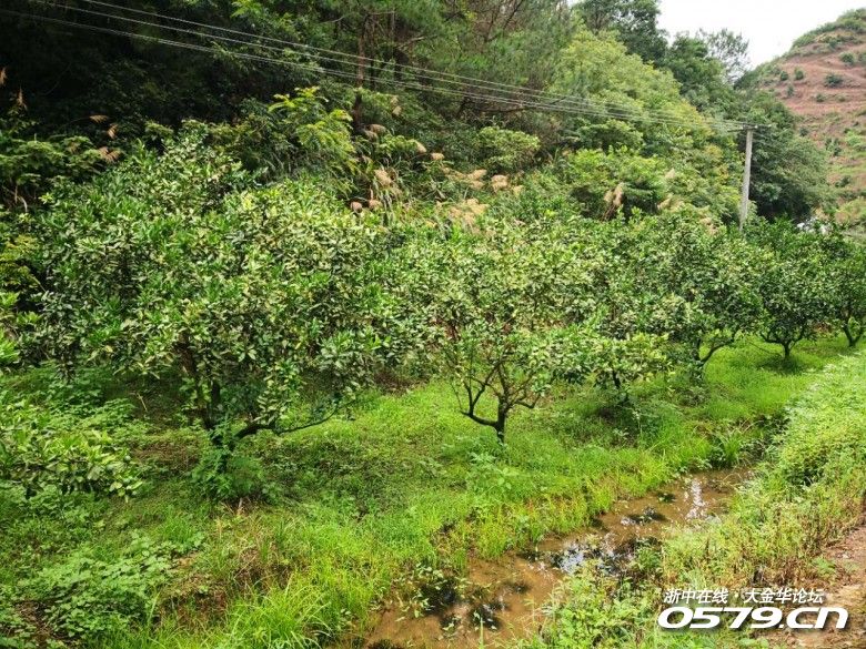 巫晓欢,陈劲松,高诞军,王正琼,田华,陈金辉,巫晓军,方旭辉,肖晟,陈成