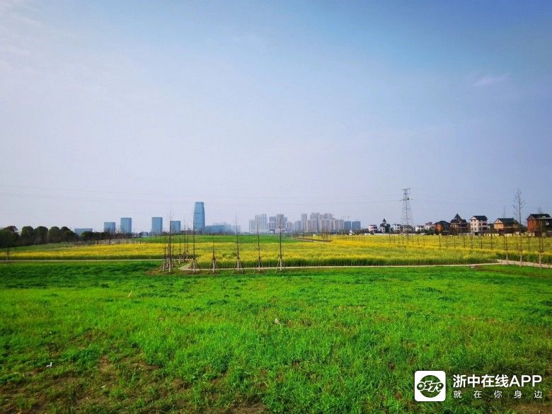 专家建议:建议在大城市郊区,修建大型集中式租房区,解决年轻人住房