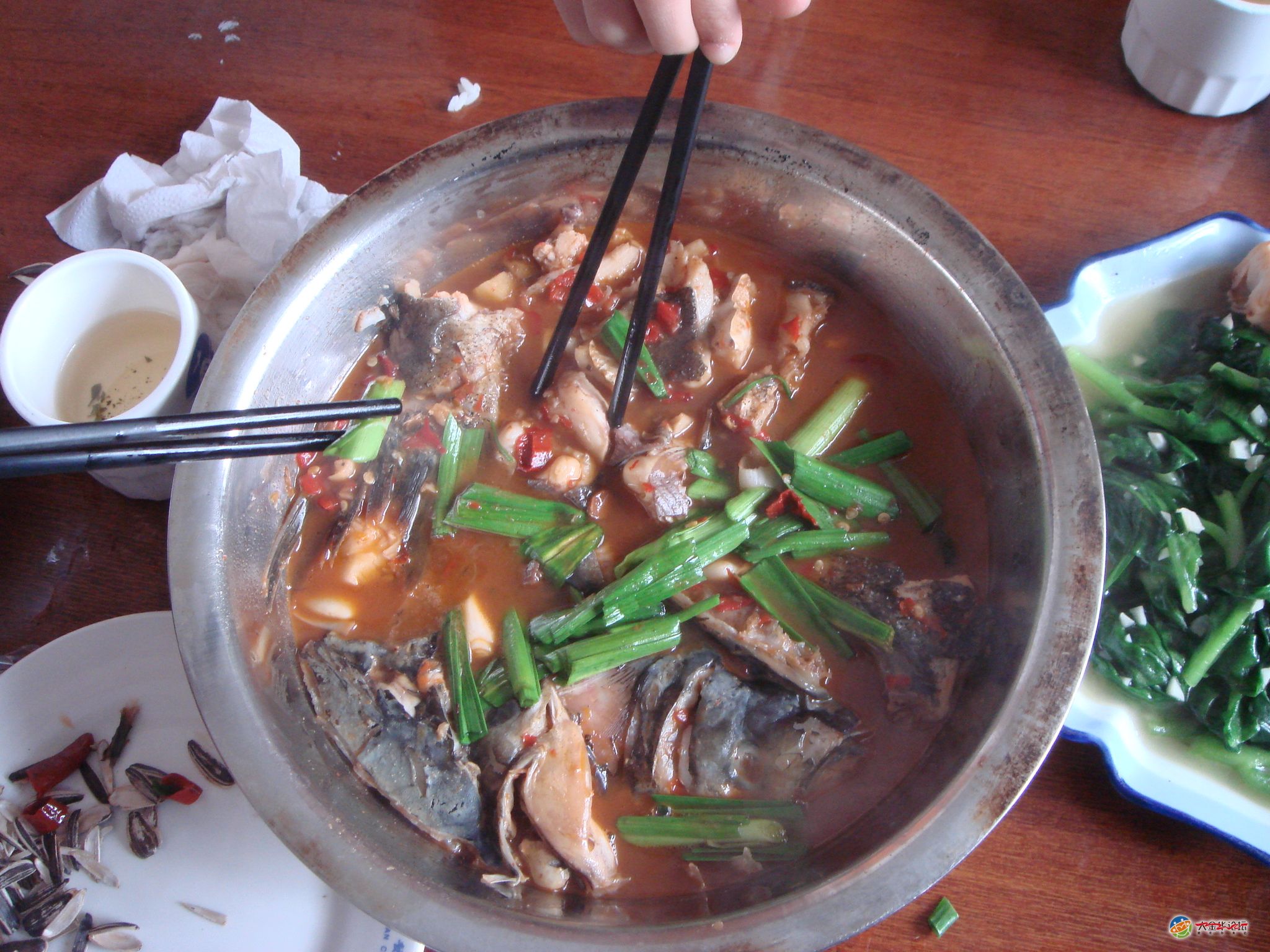 到新安江水库边吃鱼