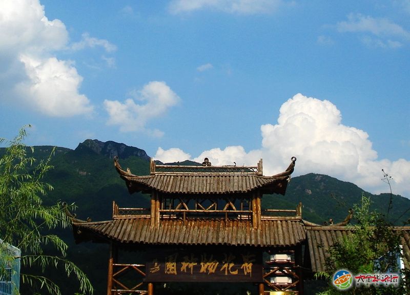 武义宣平摘莲子?