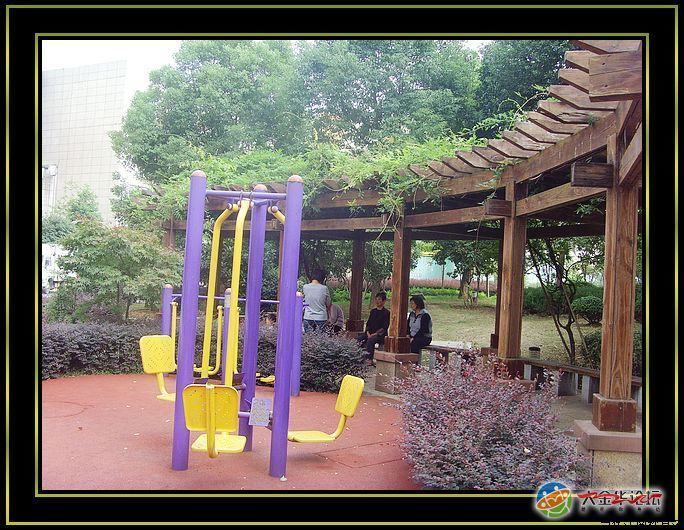 【我的小区,我的家】当代江南,和谐家园