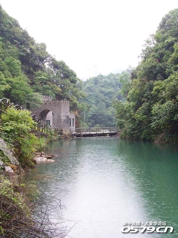 浦江水竹湾森林公园
