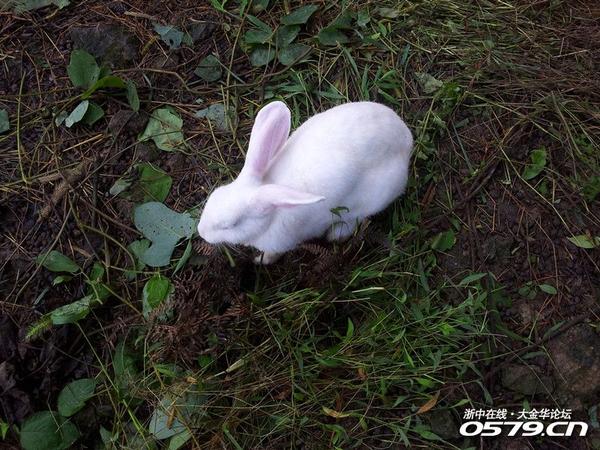 首次體驗浙中旅遊超市:金華動物園歸來