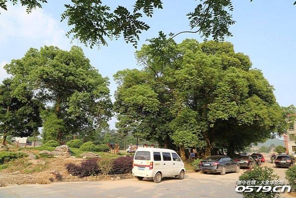 圆周村距永康市中心约3公里,白云水库方向,本来依山傍水地理环境