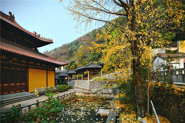 兰溪地下长河栖真禅寺小憩