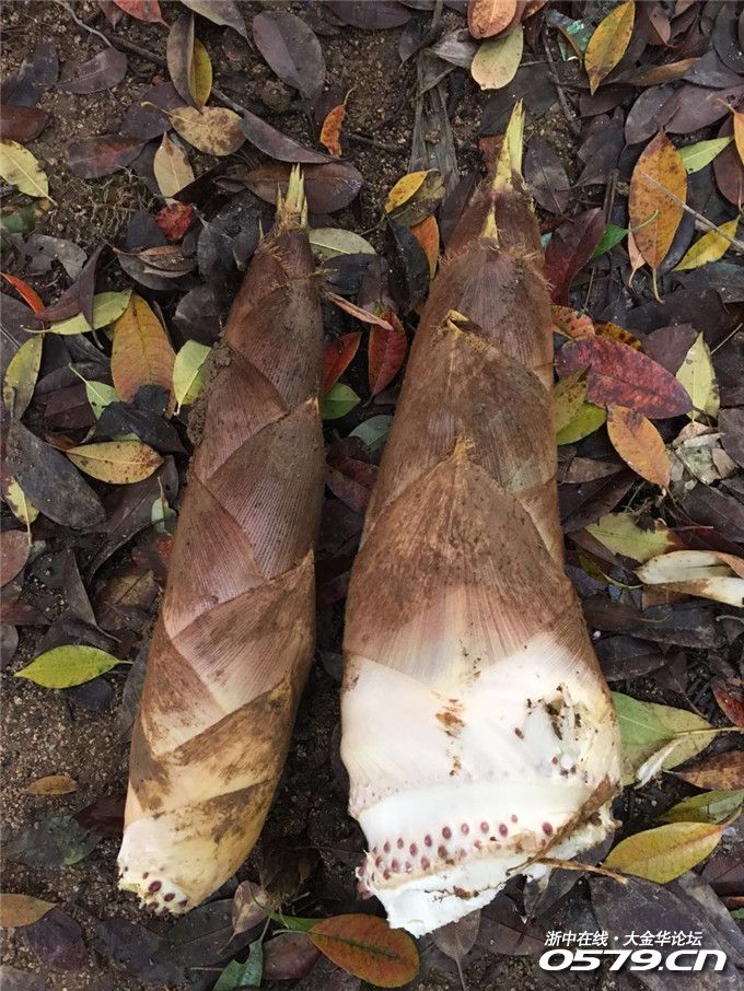 【金华 起亚k2 提车作业】6.2更新 给小车置办了听音乐小设备