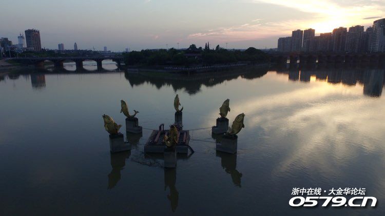 今天集合拍