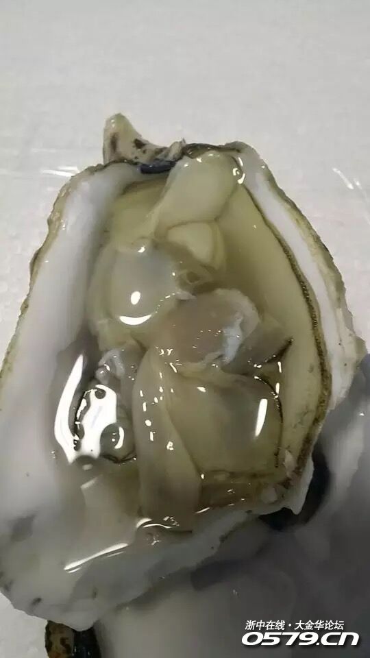 大名鼎鼎的玫瑰粉钻生蚝