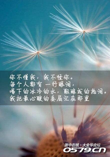 你若懂我 该有多好