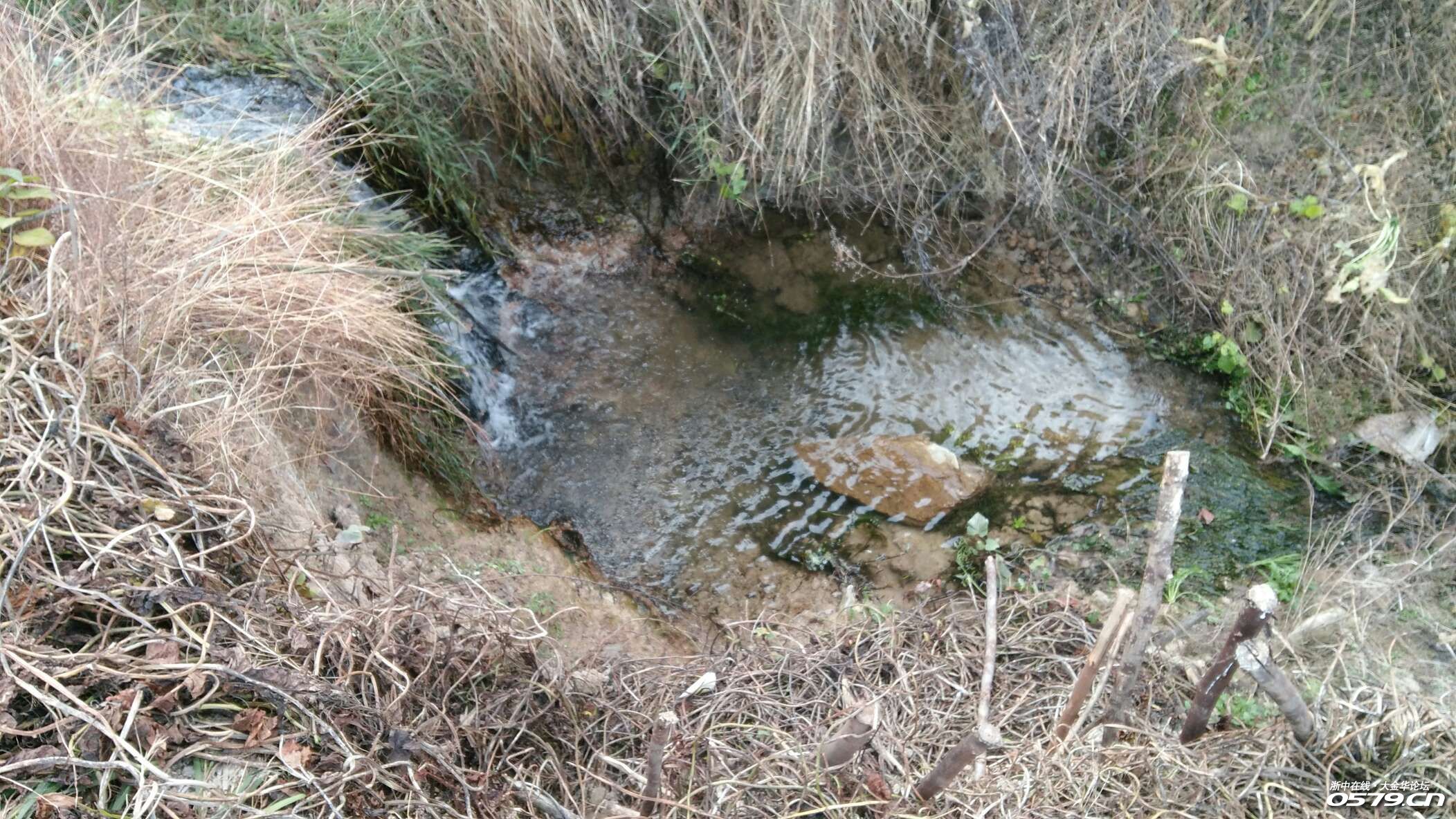这股清水 在高铁桥下,估计童村边出来的清水沟.