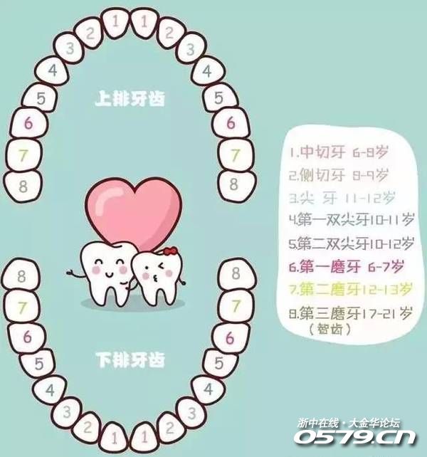 孩子換牙期間,是讓牙齒自己脫落,還是上醫院拔掉?