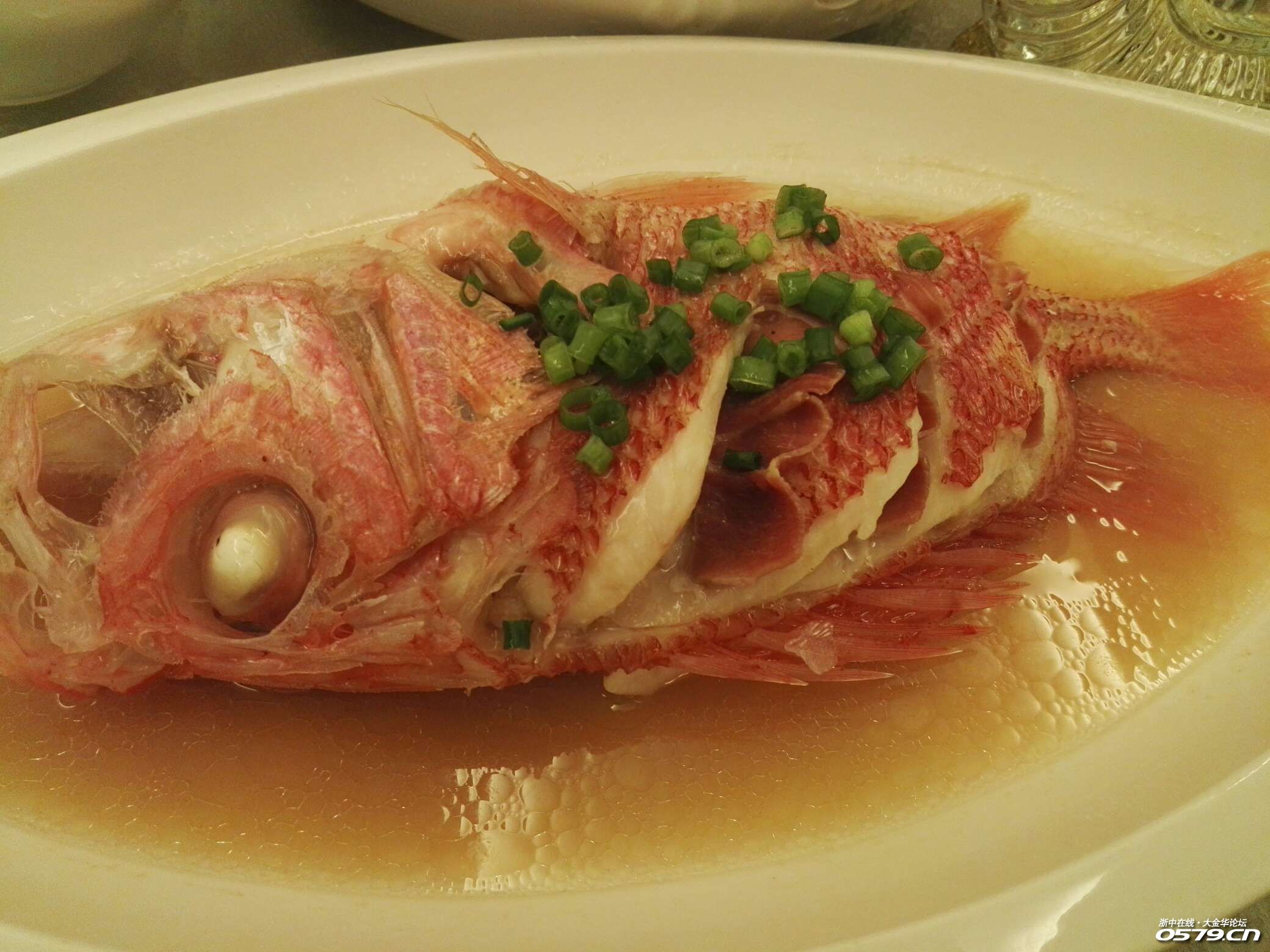 金枪章红章跳东海石斑金雕将军甲