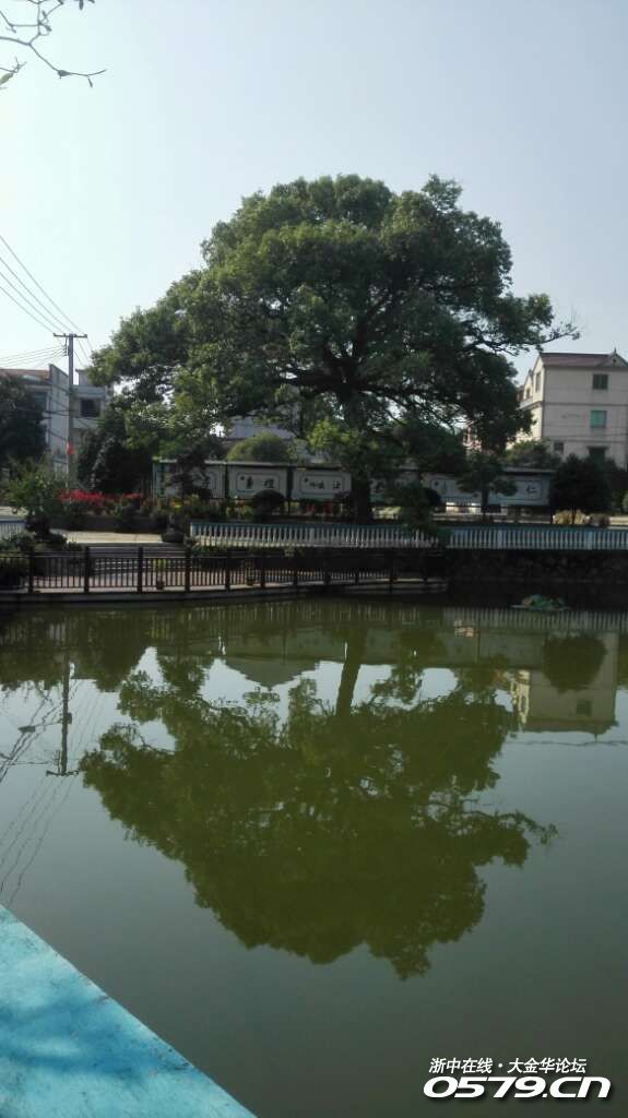 苏孟乡美丽乡村