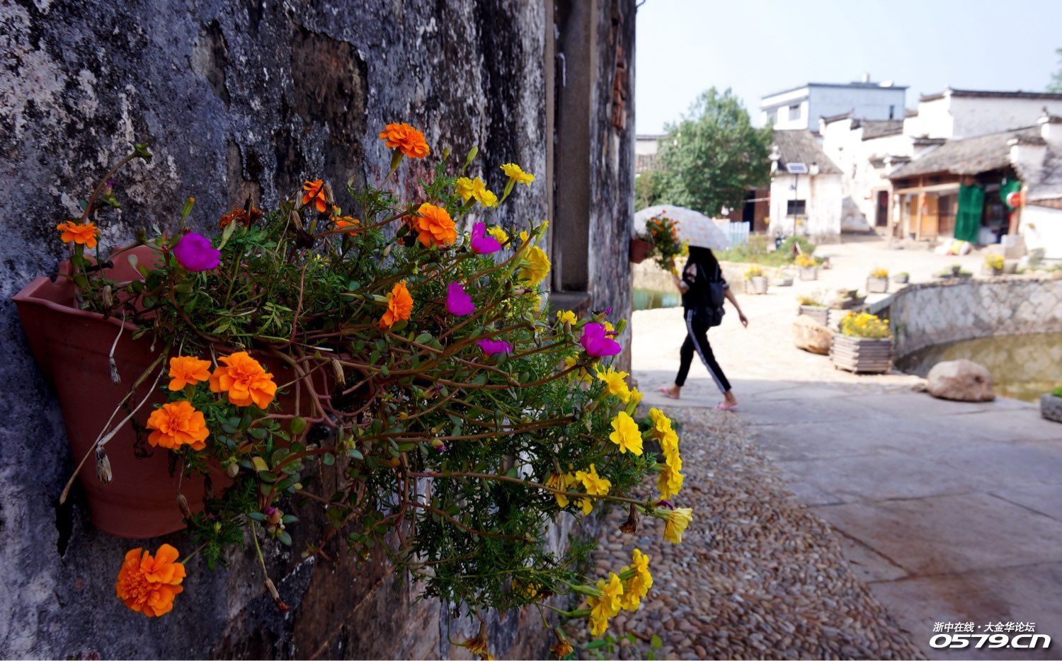 龙游县塔石镇泽随村随记
