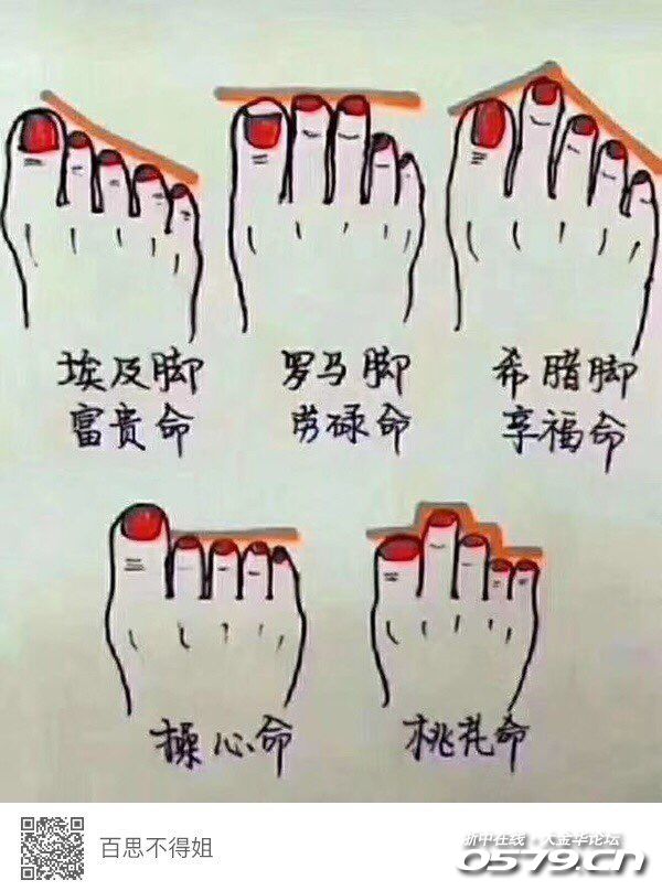 你是哪种命