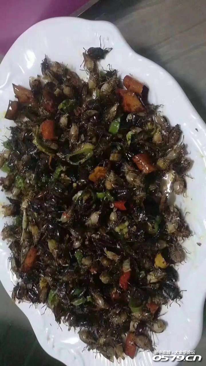 晚饭来点野味,有几个认识不?