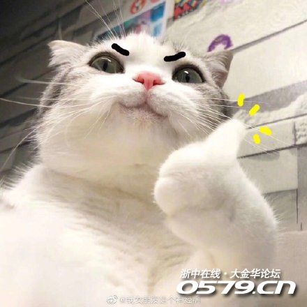 金华交警通报:这15人终身禁驾,你认识吗?