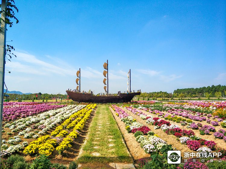 网红小镇-渔歌小镇·菊园(2019年10月26日菊花节)