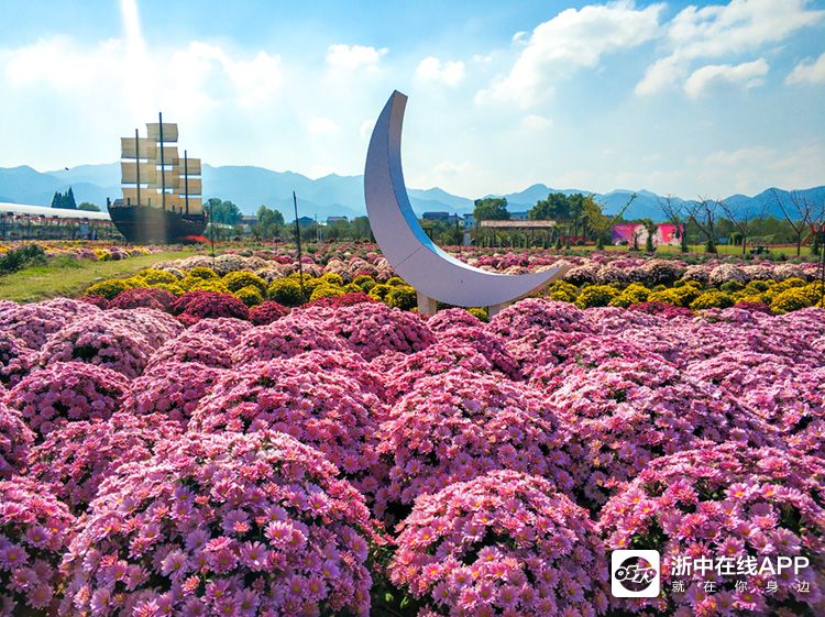 网红小镇-渔歌小镇·菊园(2019年10月26日菊花节)