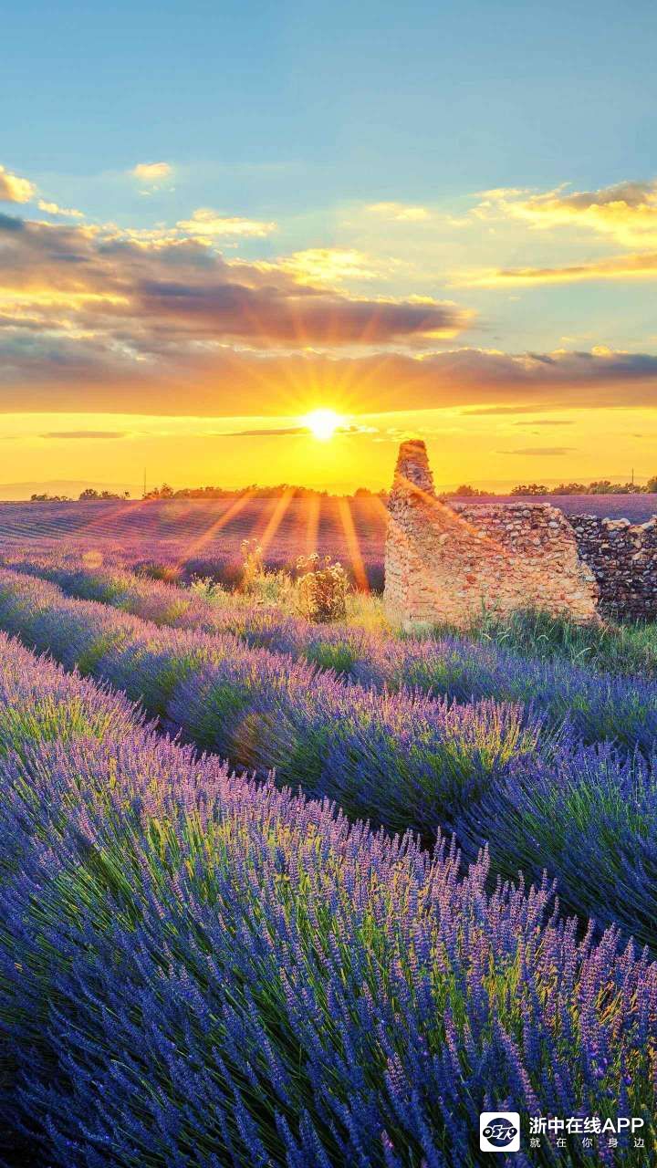 金华地区除了柳湖小区,还有哪些地方存在不少库存房