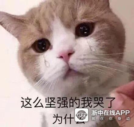 这得怎么处理 9-11 双溪 浙中在线 给它执行死刑,该火刑水刑还是猫刑?