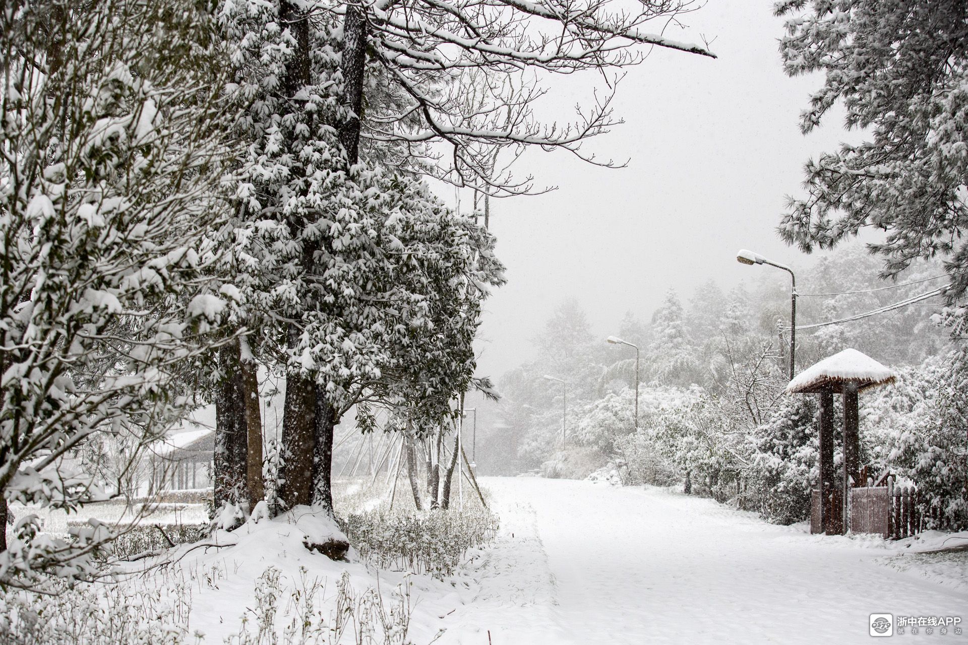 昨日金华下起了2020年冬天的第一场雪